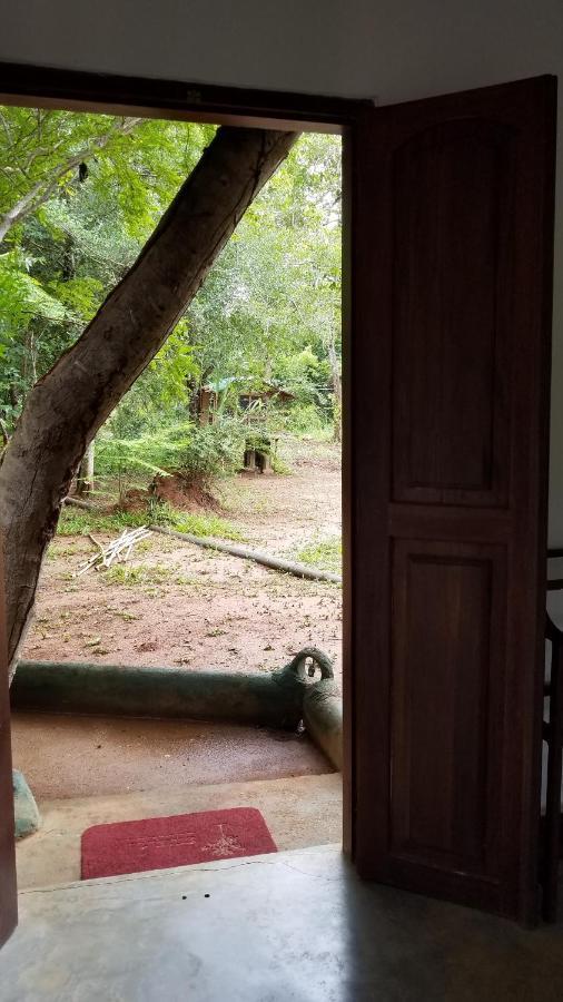 Sigiri Holiday Villa Σιγκιρίγια Εξωτερικό φωτογραφία