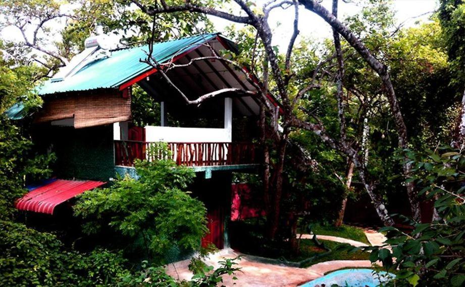 Sigiri Holiday Villa Σιγκιρίγια Εξωτερικό φωτογραφία